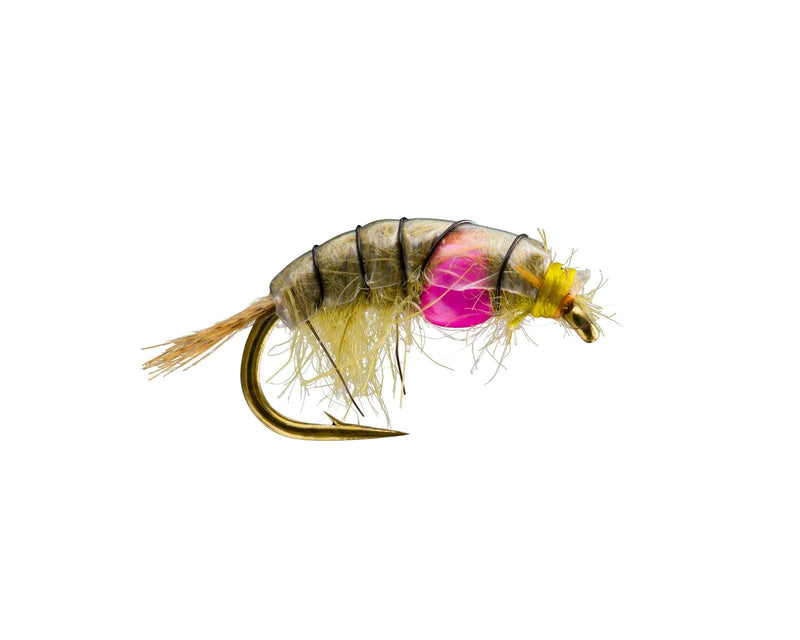 weighted scud fly