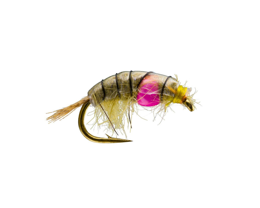 Scida Fly RIO's Midweight Scud Fly — Red's Fly Shop