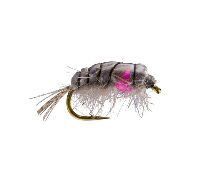 weighted scud fly
