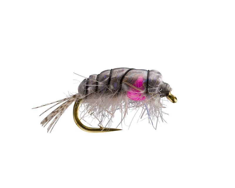weighted scud fly