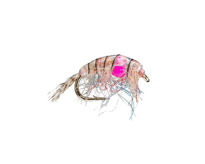 weighted scud fly