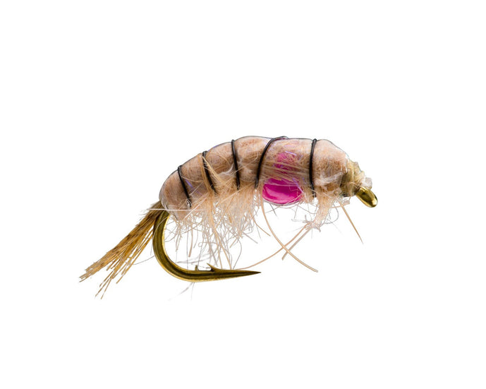 weighted scud fly