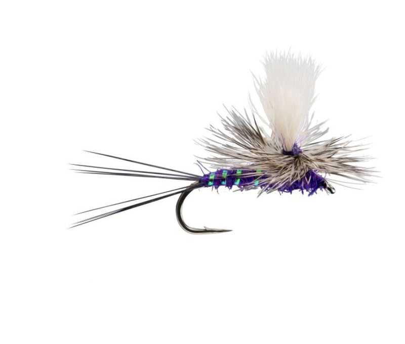 RIO's Para Wulff Purple // Dry Fly