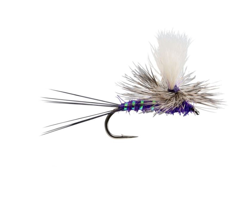 The Fly Fishing Place Hippie Stomper Black Purple Foam Body Trout Bass Dry  Fly Fishing Flies - Set of 4 Hook Size 14