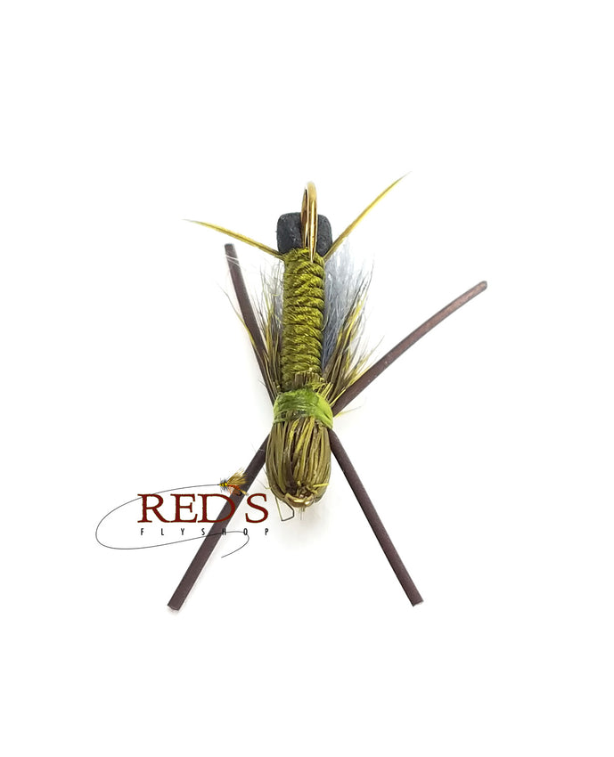 Bullet Head Skwala Stonefly